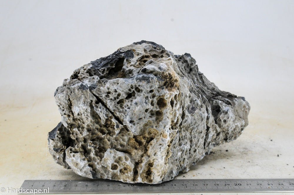 Seiryu Rock XL078 - Hardscape.nl