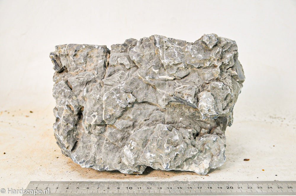 Seiryu Rock XL082 - Hardscape.nl