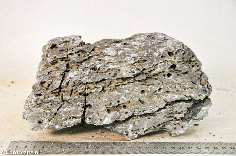 Seiryu Rock XL082 - Hardscape.nl