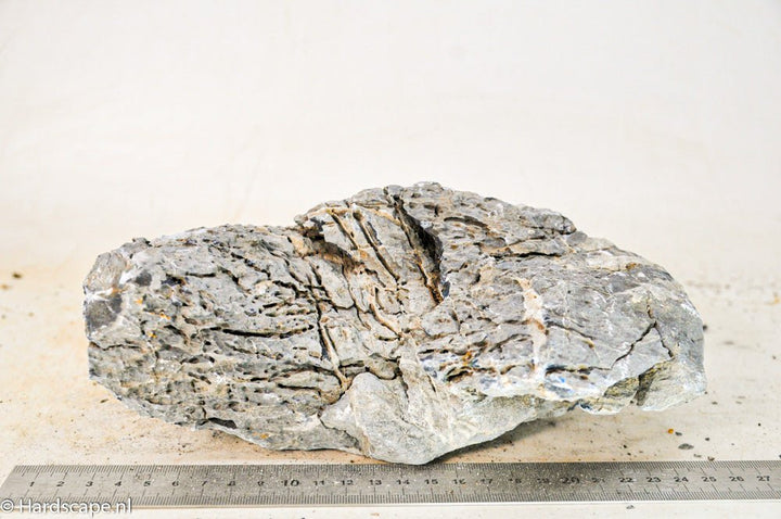 Seiryu Rock XL087 - Hardscape.nl