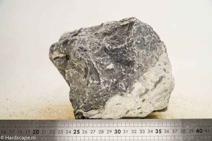Seiryu Rock XL091 - Hardscape.nl