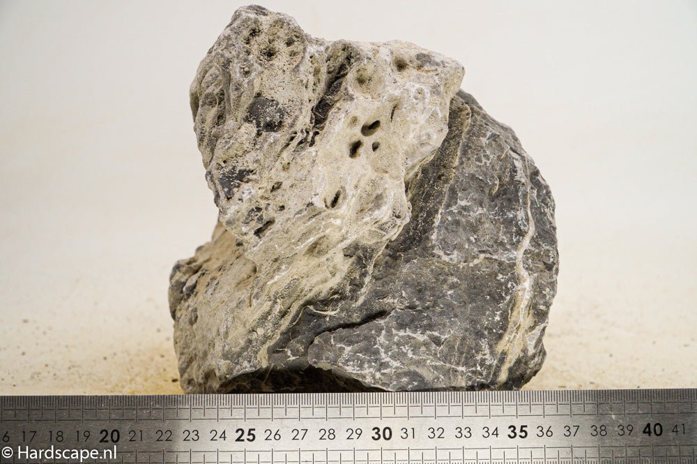 Seiryu Rock XL091 - Hardscape.nl