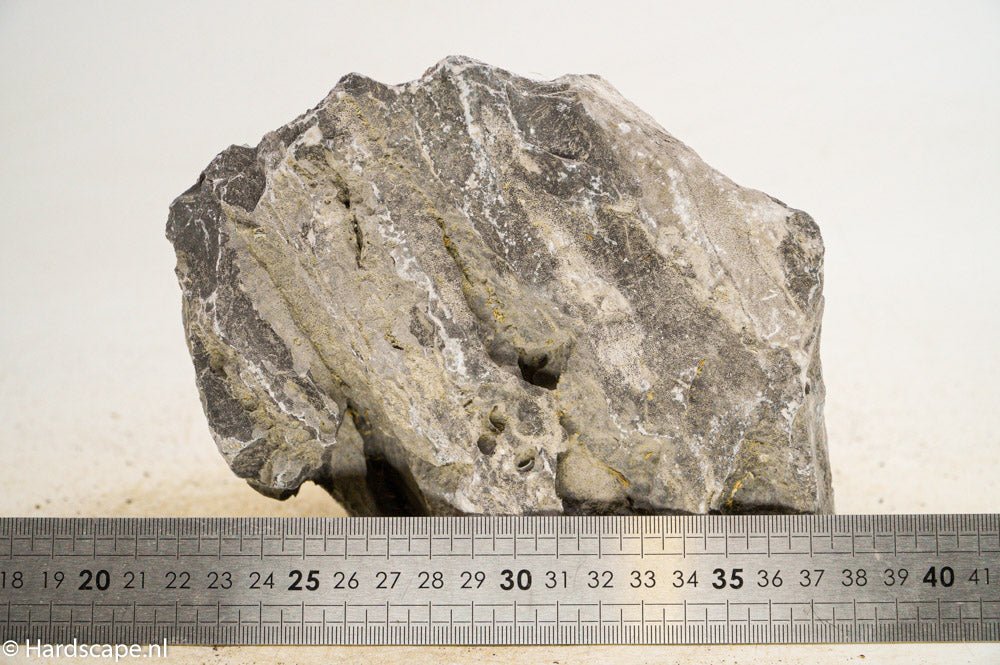 Seiryu Rock XL092 - Hardscape.nl