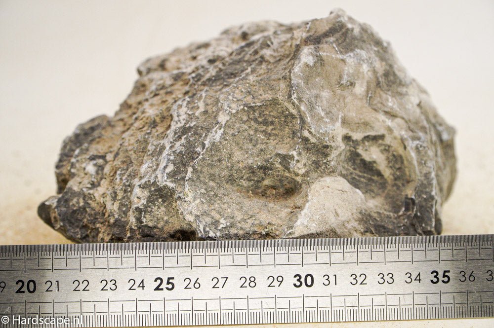 Seiryu Rock XL092 - Hardscape.nl