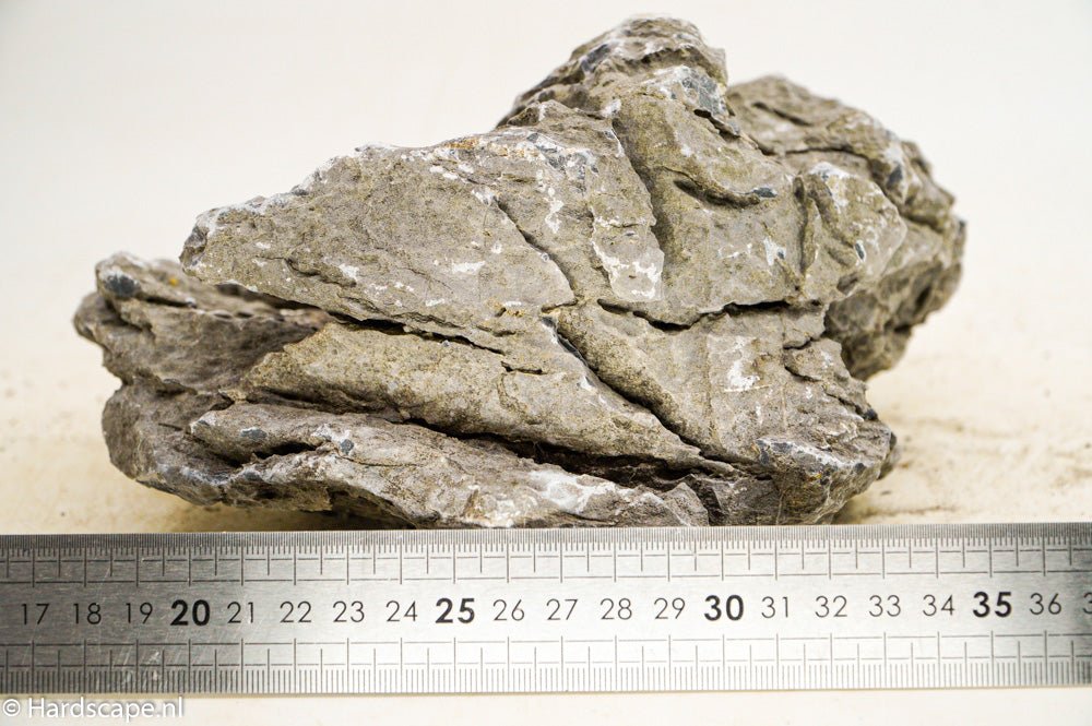 Seiryu Rock XL094 - Hardscape.nl