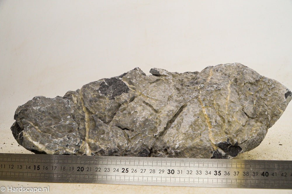 Seiryu Rock XL096 - Hardscape.nl