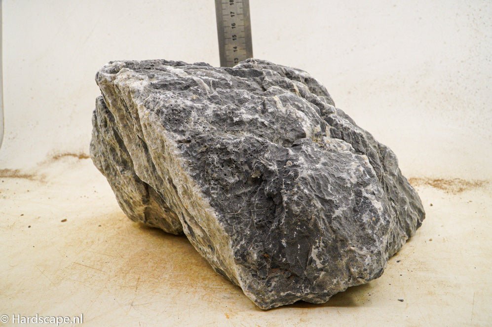 Seiryu Rock XL103 - Hardscape.nl