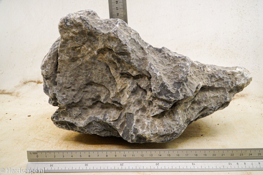 Seiryu Rock XL103 - Hardscape.nl