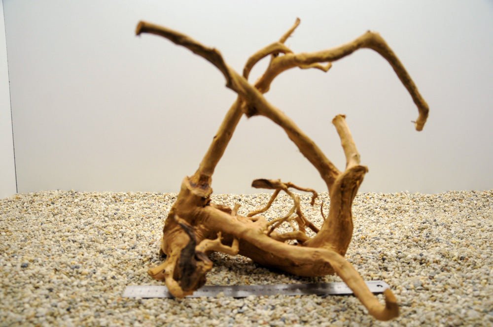 Spiderwood XL22 - Hardscape.nl