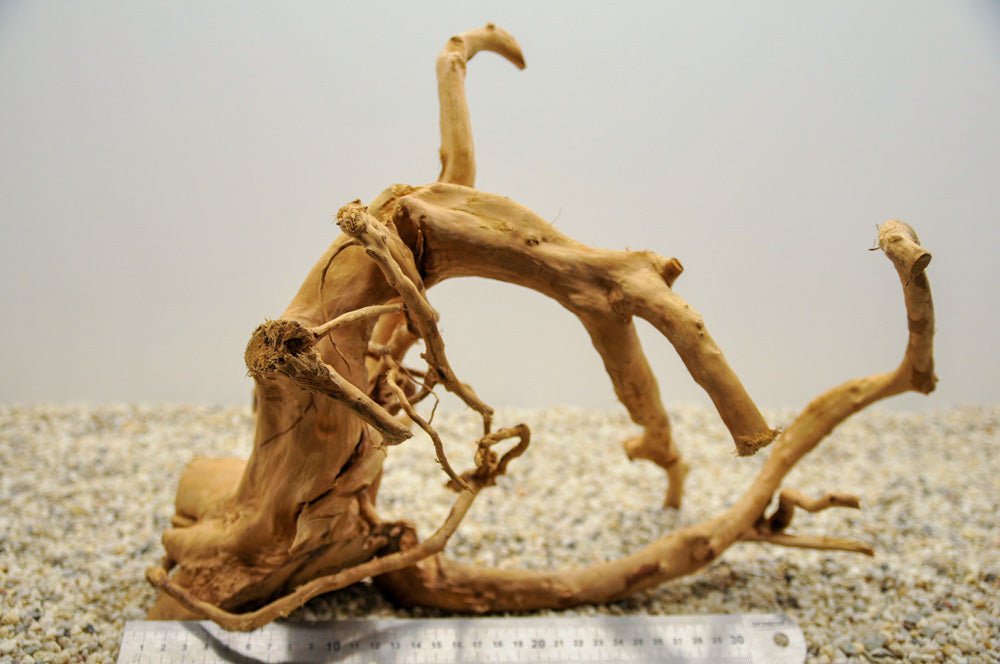 Spiderwood XL22 - Hardscape.nl