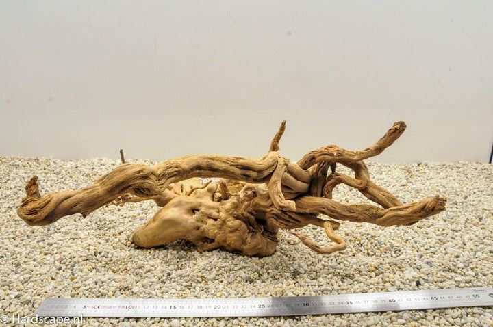 Spiderwood XL48 - Hardscape.nl