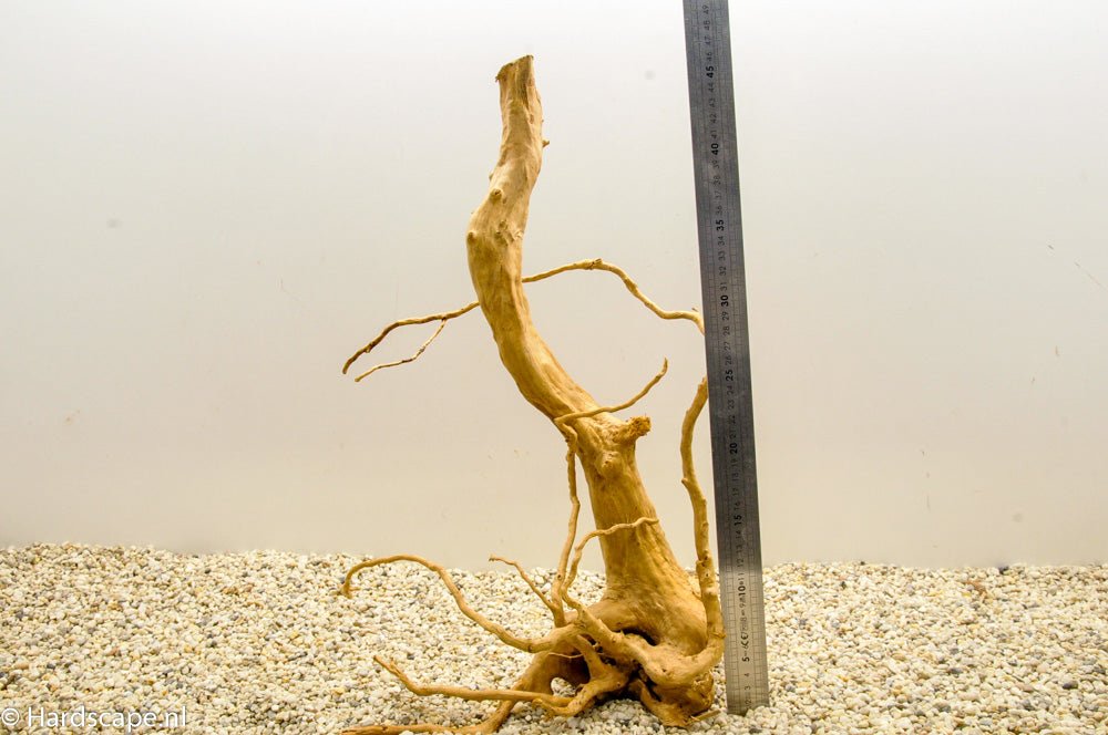 Spiderwood XL48 - Hardscape.nl