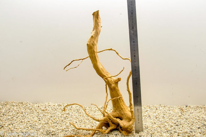 Spiderwood XL48 - Hardscape.nl