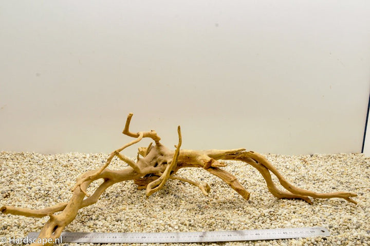 Spiderwood XL64 - Hardscape.nl