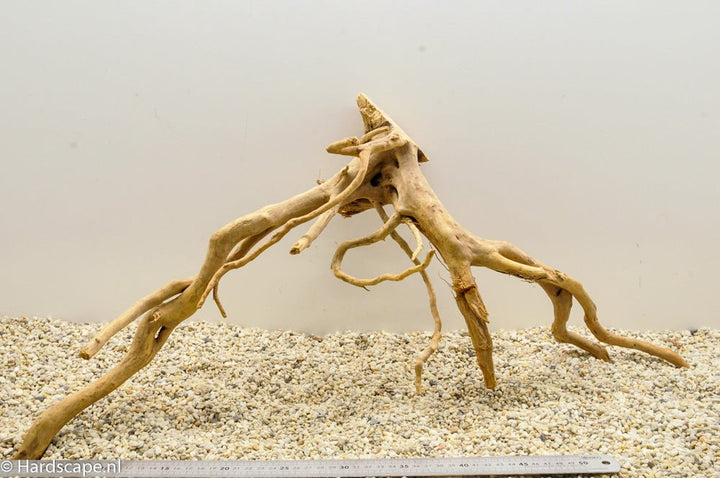 Spiderwood XL64 - Hardscape.nl