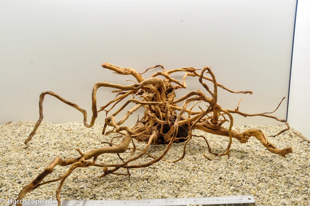 Spiderwood XL70 - Hardscape.nl