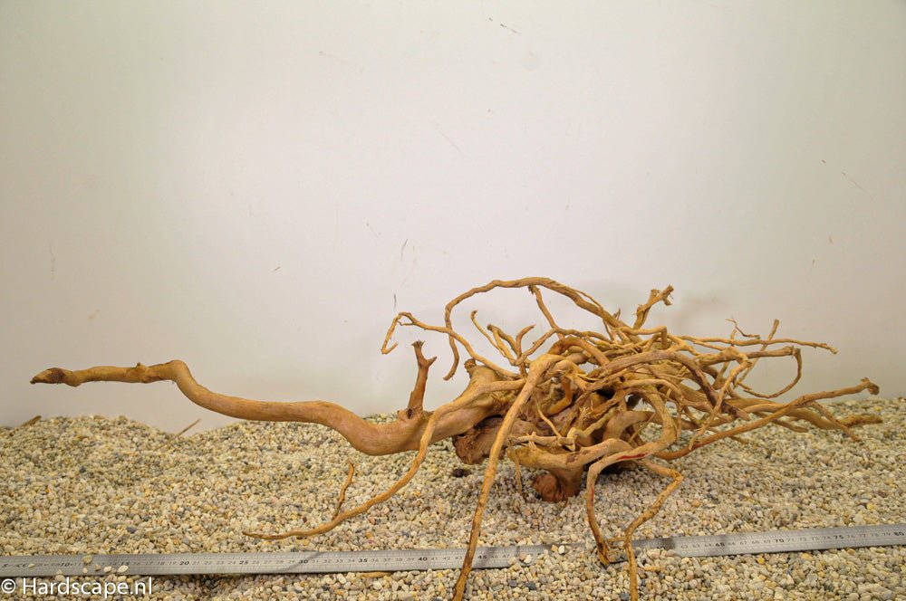 Spiderwood XL73 - Hardscape.nl