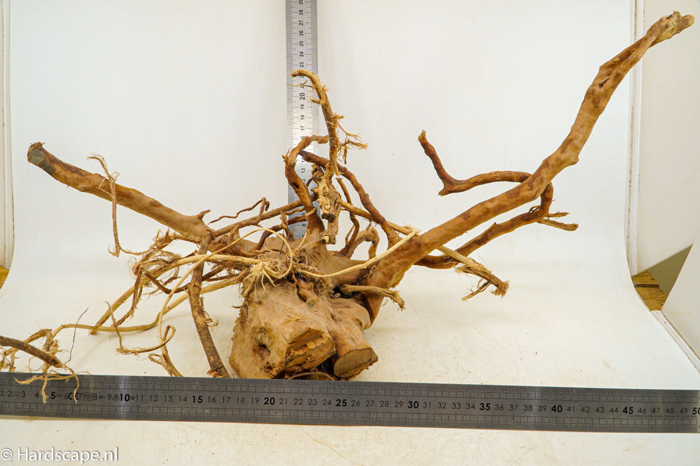 Spiderwood XL83 - Hardscape.nl