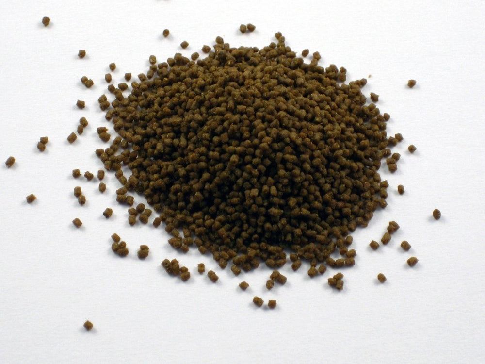 Dr. Bassleer Biofish Food Acai - Hardscape.nl