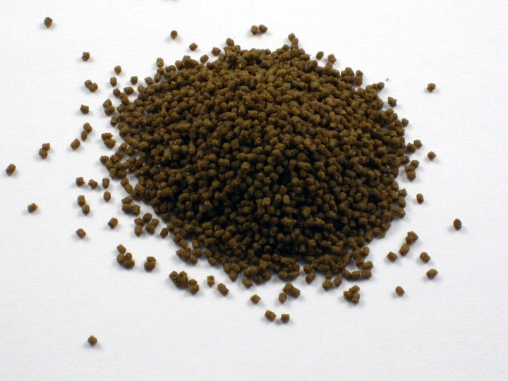 Dr. Bassleer Biofish Food Acai - Hardscape.nl