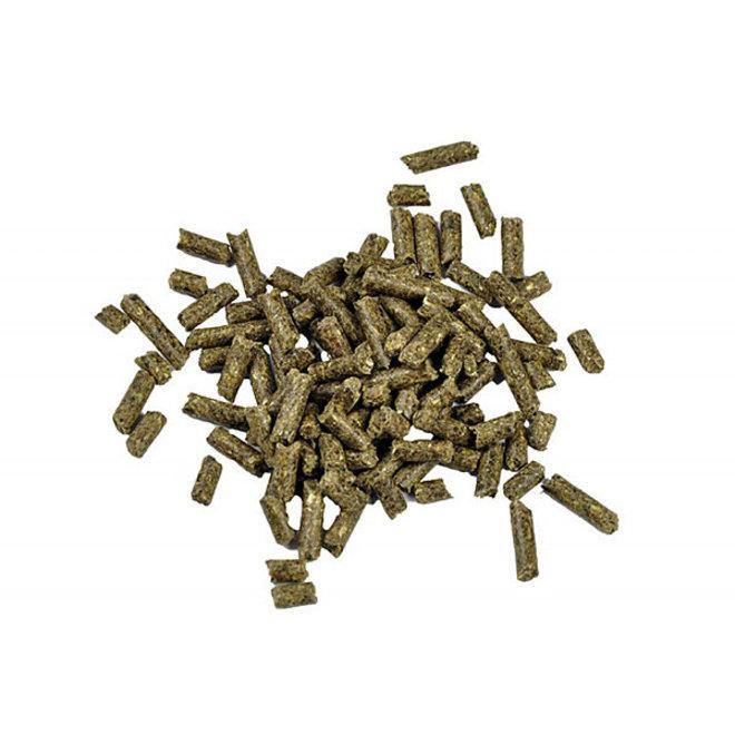 Dr.Bassleer Biofish Food shrimp sticks - Hardscape.nl