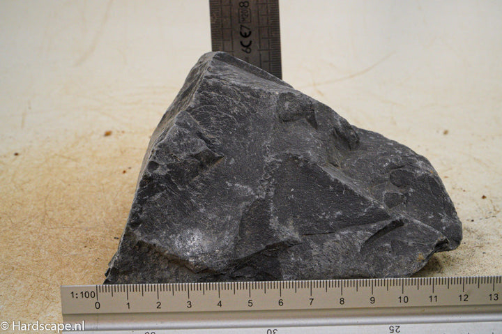 Black Venom L014 - Hardscape.nl