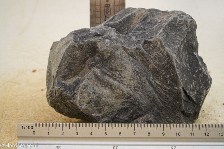 Black Venom L019 - Hardscape.nl