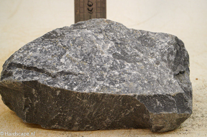 Black Venom L020 - Hardscape.nl