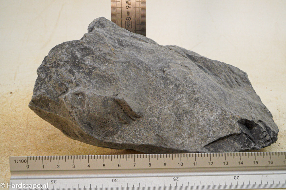 Black Venom L023 - Hardscape.nl
