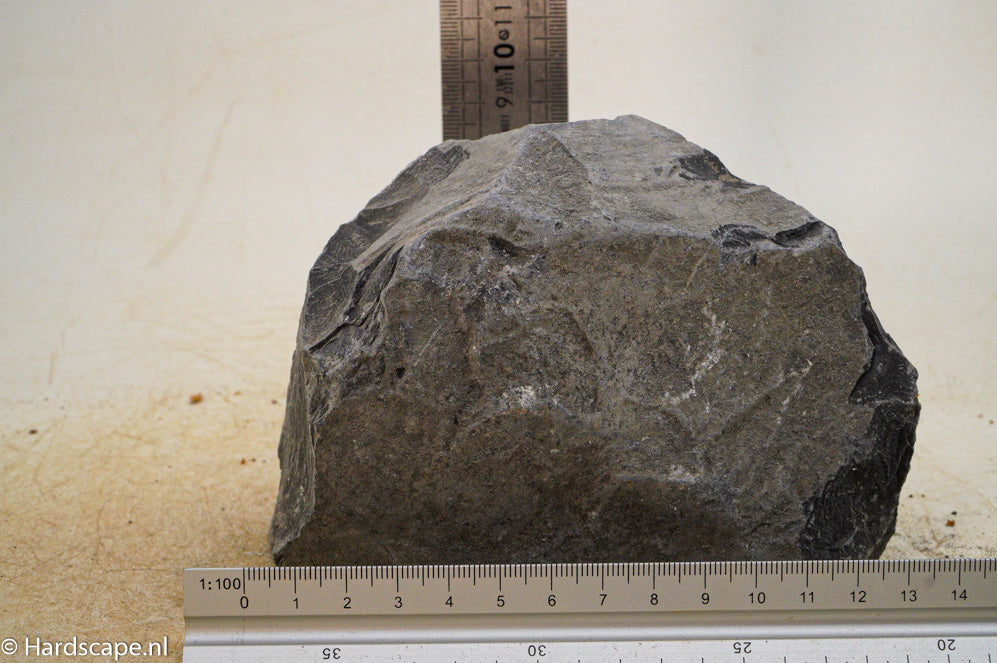 Black Venom L028 - Hardscape.nl