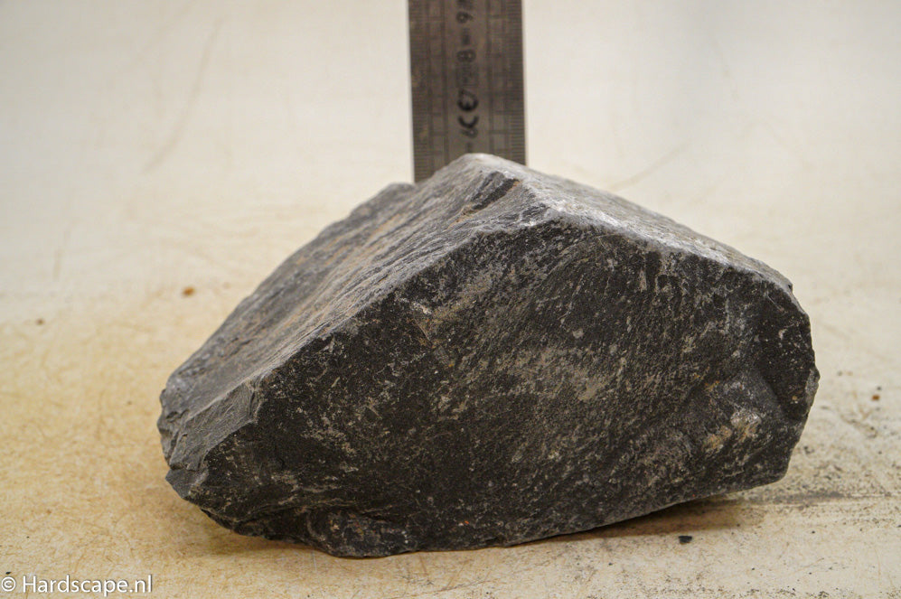 Black Venom L028 - Hardscape.nl
