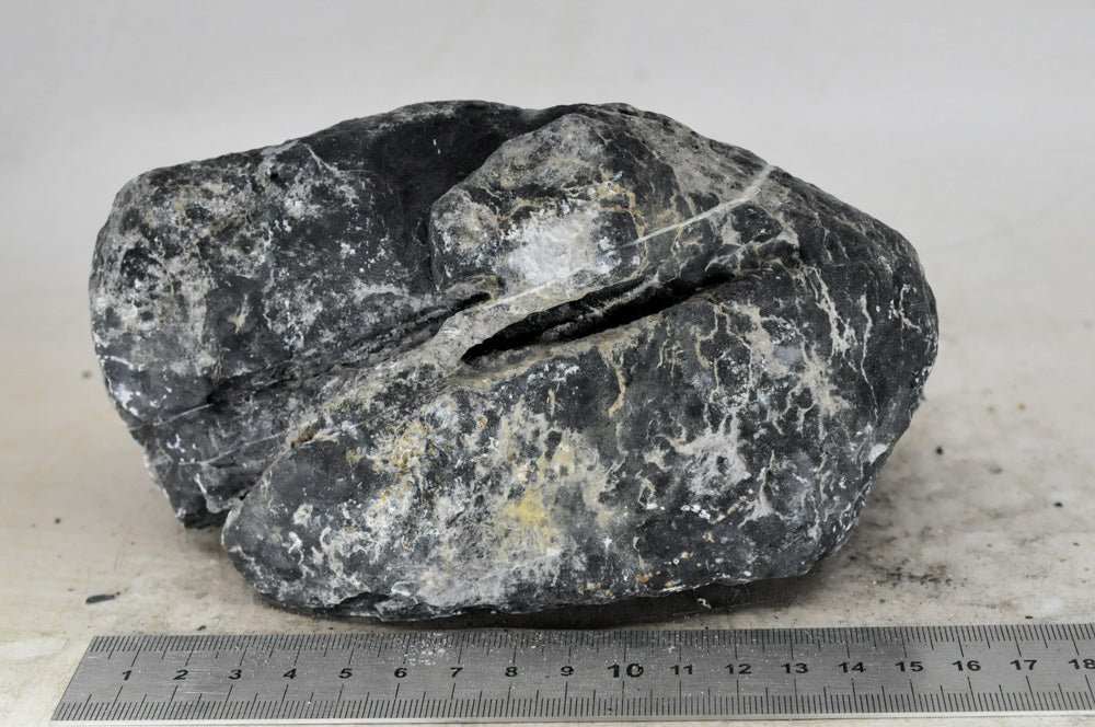 Dark Seiryu Rock L009 - Hardscape.nl