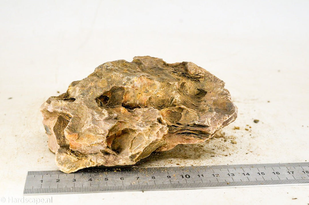 Natuursteen Keukenblad Kwartsiet Super White Grijs Met Achterwand Natuursteen Keukenblad Kwartsiet Super White Grijs Met Achterwand