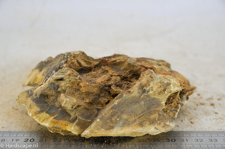 Dragon Stone L170 - Hardscape.nl