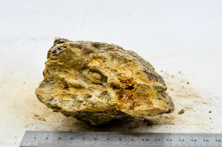 Dragon Stone L89 - Hardscape.nl
