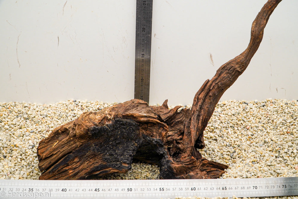 Driftwood L100 - Hardscape.nl