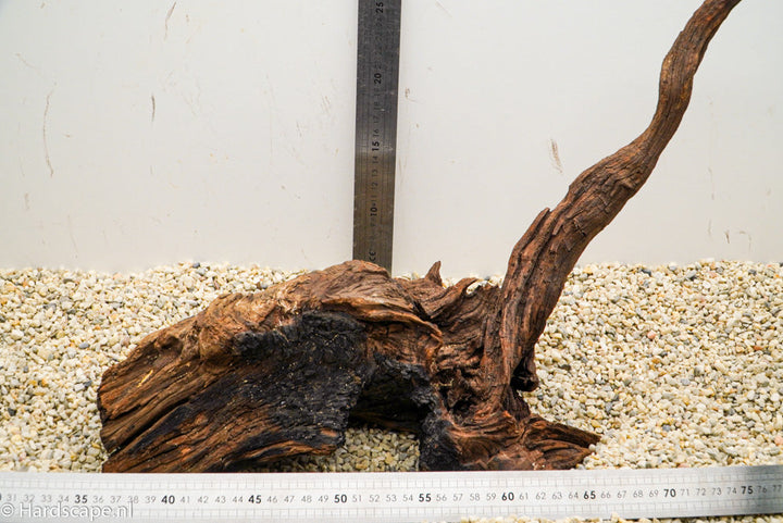 Driftwood L100 - Hardscape.nl