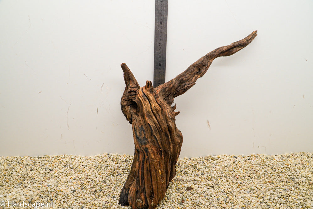 Driftwood L100 - Hardscape.nl