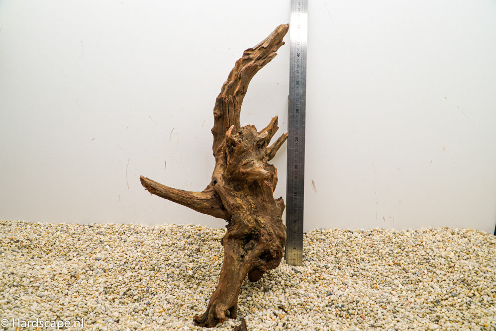 Driftwood L112 - Hardscape.nl