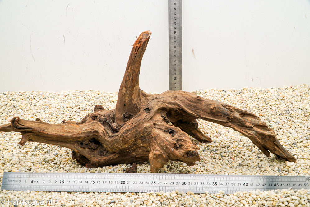 Driftwood L112 - Hardscape.nl