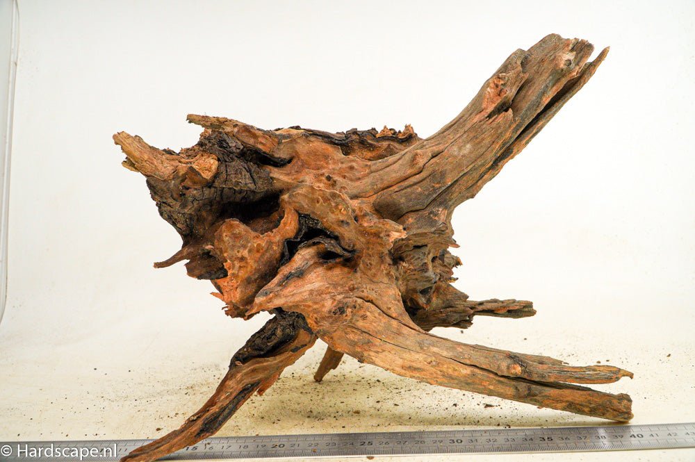 Driftwood L67 - Hardscape.nl