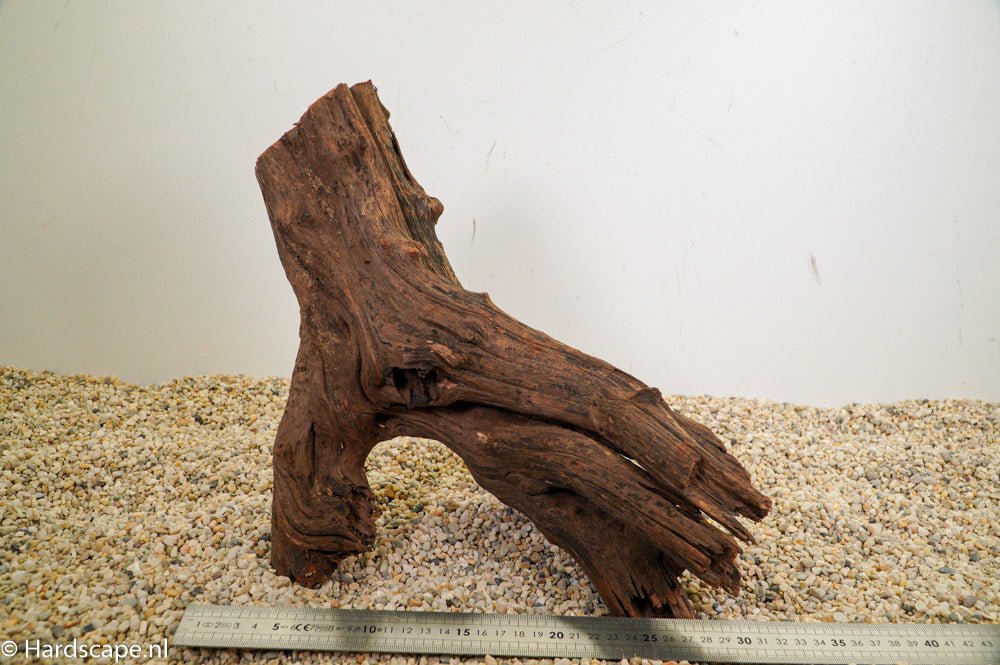 Driftwood L72 - Hardscape.nl