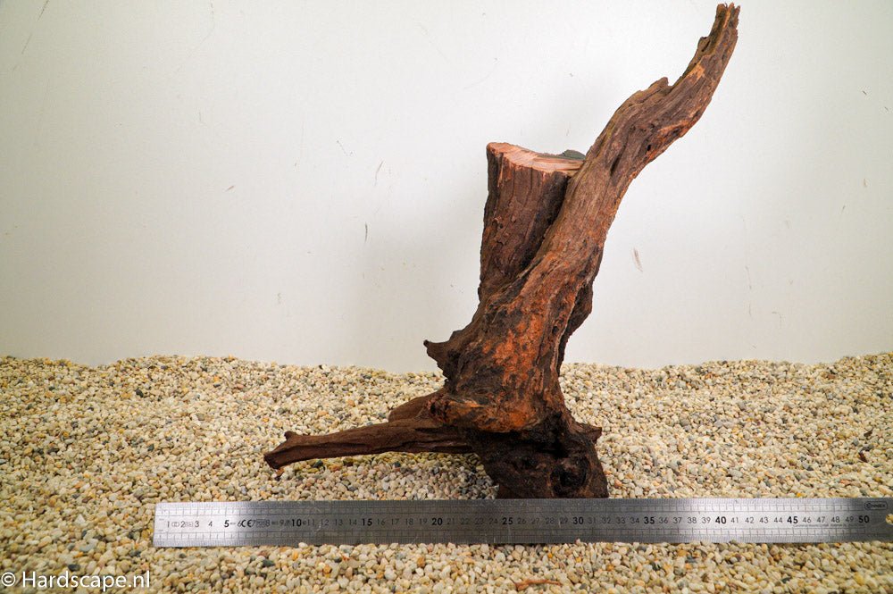 Driftwood L74 - Hardscape.nl