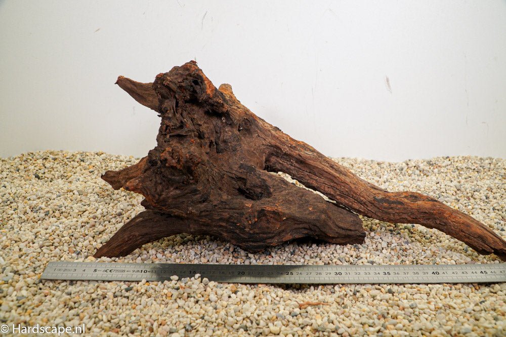 Driftwood L74 - Hardscape.nl
