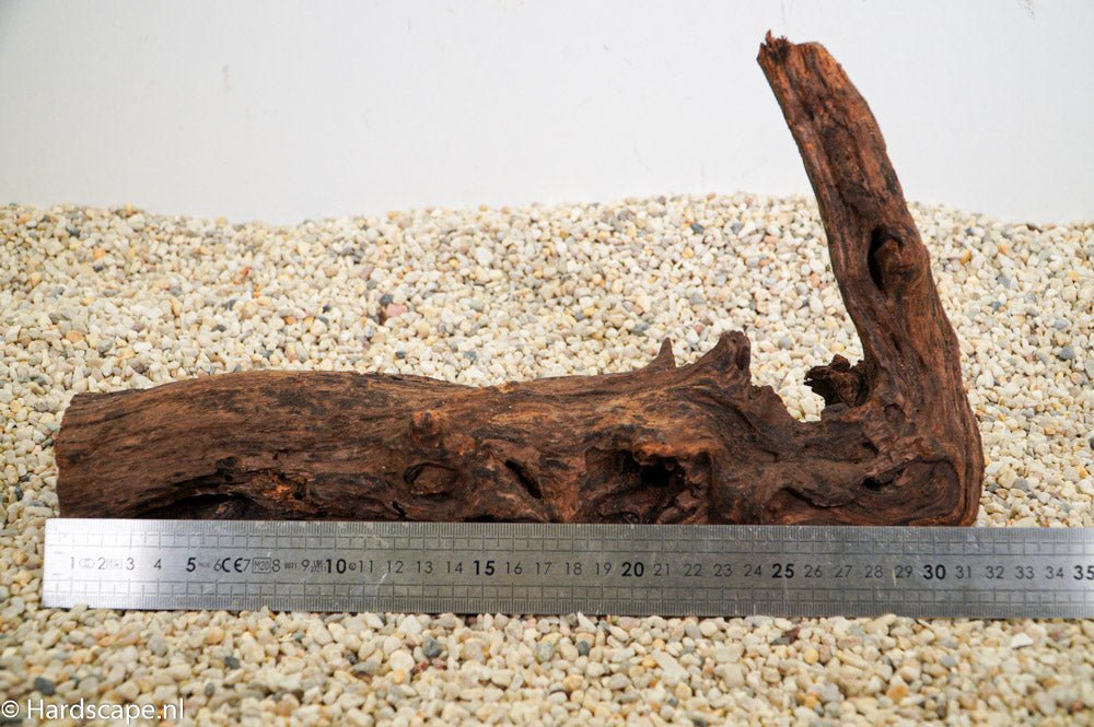 Driftwood L84 - Hardscape.nl