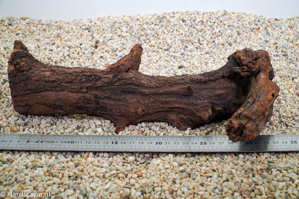 Driftwood L84 - Hardscape.nl