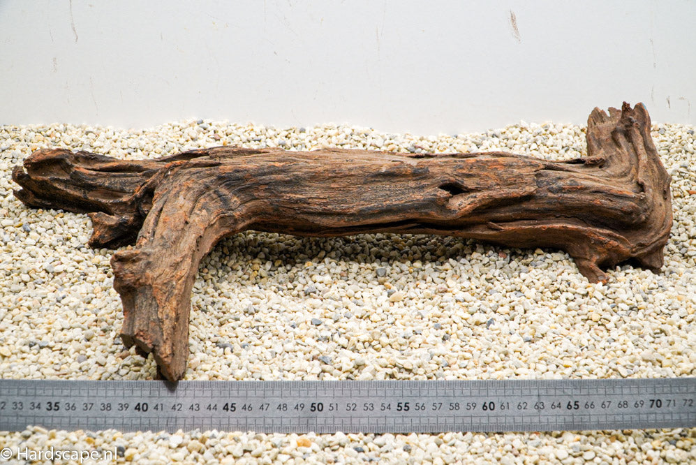 Driftwood L95 - Hardscape.nl