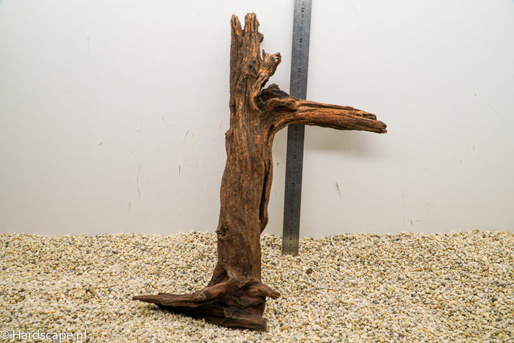 Driftwood L95 - Hardscape.nl