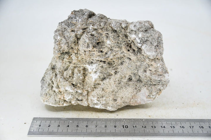 Elephant Skin Rock L15 - Hardscape.nl