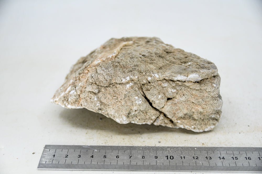 Elephant Skin Rock L15 - Hardscape.nl